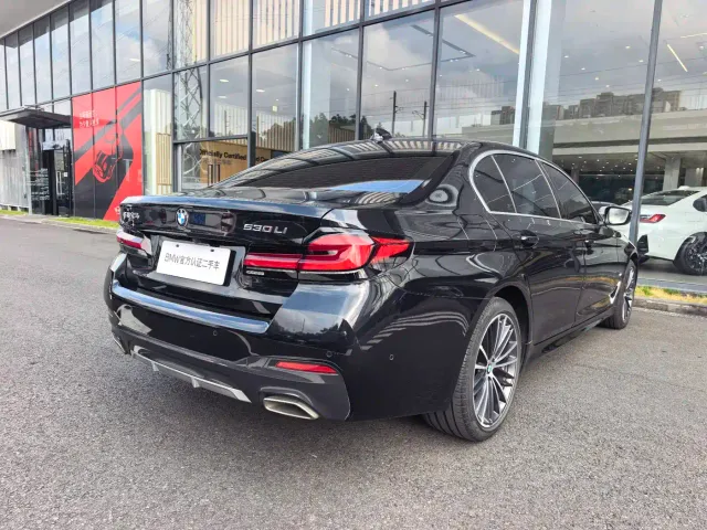 BMW 5 Series — Фото автомобиля 13