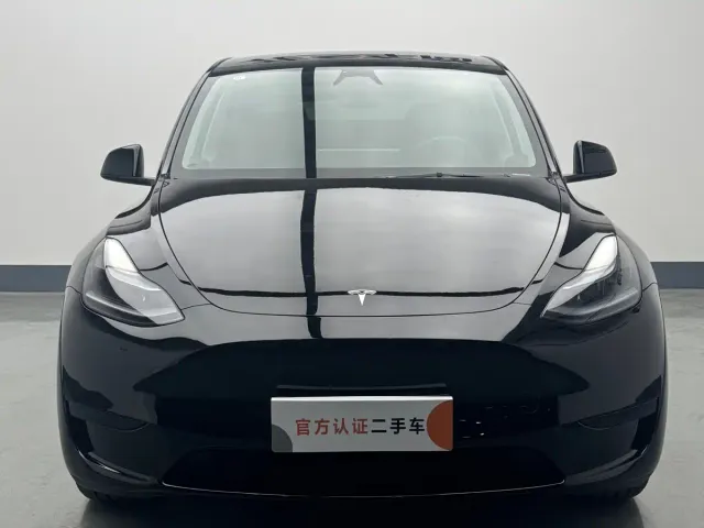 Tesla Model Y — Фото автомобиля 2