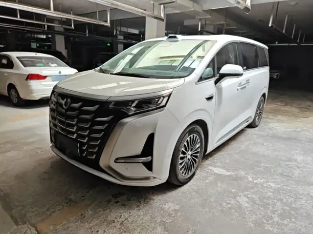 Фотография автомобиля — Denza D9