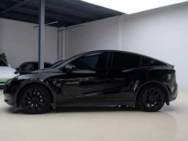 Tesla Model Y — Фото автомобиля 3