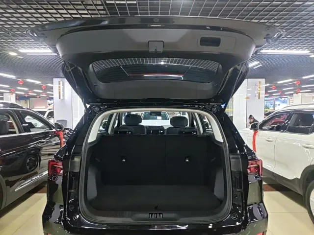 Ford Lingrui — Фото автомобиля 18