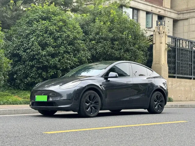 Tesla Model Y — Фото автомобиля 2