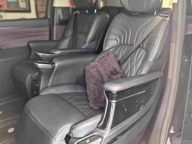 GAC Trumpchi M8 — Фото автомобиля 4