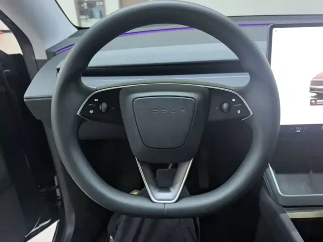 Tesla Model Y — Фото автомобиля 10