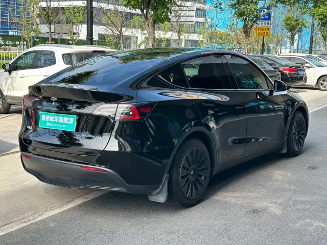 Tesla Model Y — Фото автомобиля 4