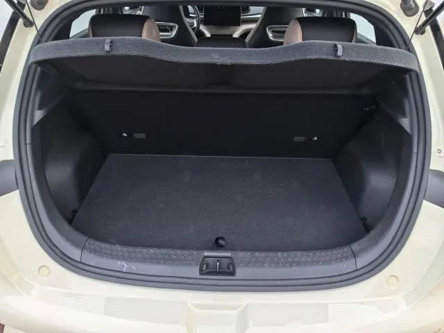 BYD Dolphin — Фото автомобиля 13