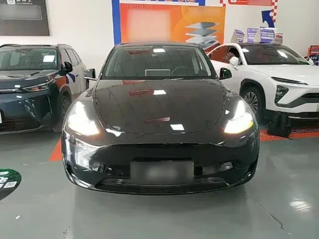 Tesla Model Y — Фото автомобиля 2