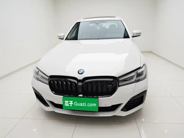 BMW 5 Series — Фото автомобиля 23