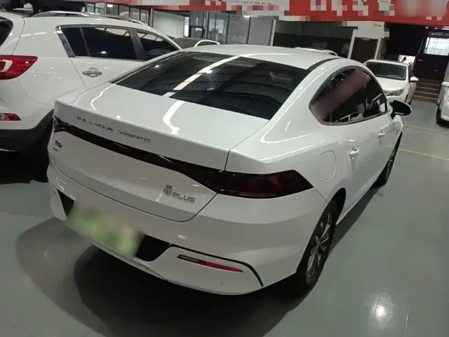 BYD Qin PLUS 2023 Champion Edition DM-i 55KM Leading — Фото автомобиля 6