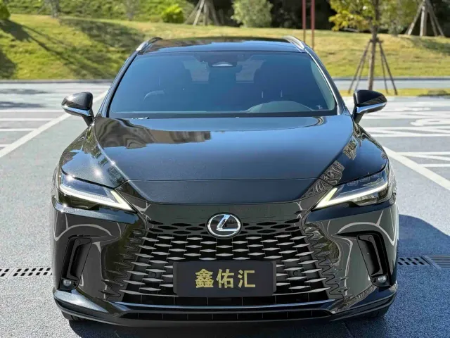 Lexus RX — Фото автомобиля 2