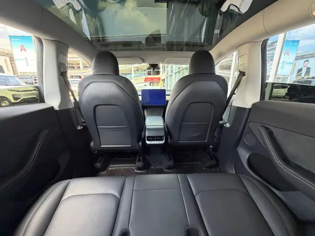 Tesla Model Y — Фото автомобиля 10