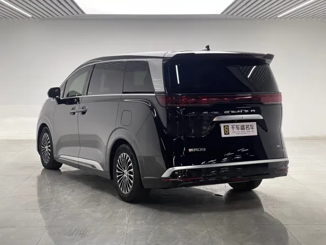 Denza Denza D9 2024 DM-i 1050 Premium — Фото автомобиля 4