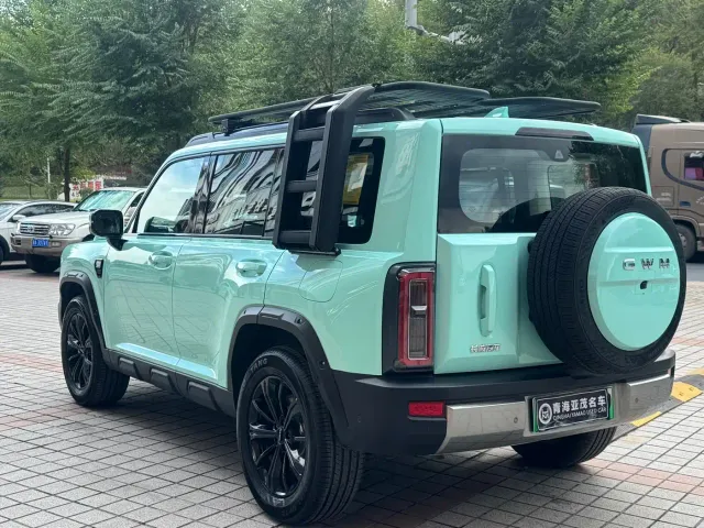 Haval Raptor — Фото автомобиля 16