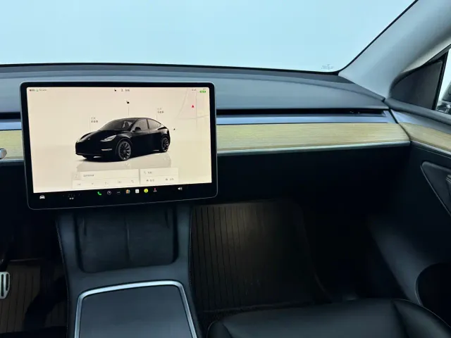Tesla Model Y — Фото автомобиля 12