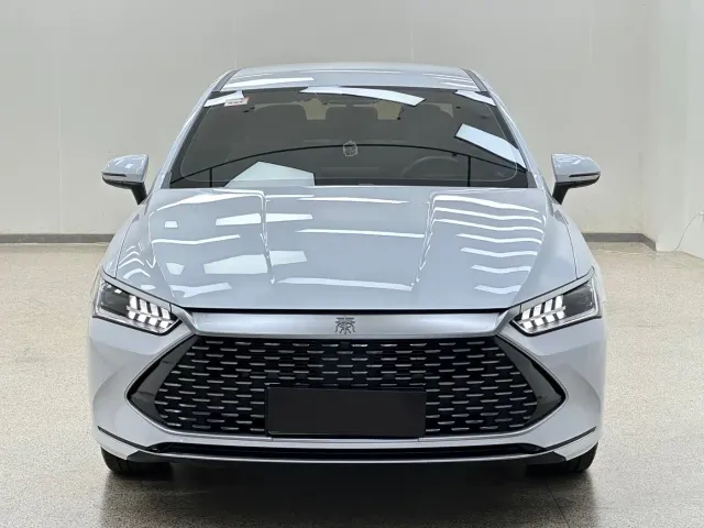 BYD Qin PLUS — Фото автомобиля 2