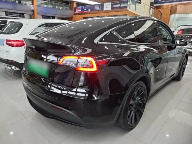 Tesla Model Y — Фото автомобиля 6
