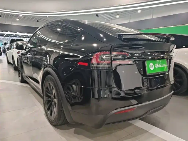 Tesla Model X — Фото автомобиля 22