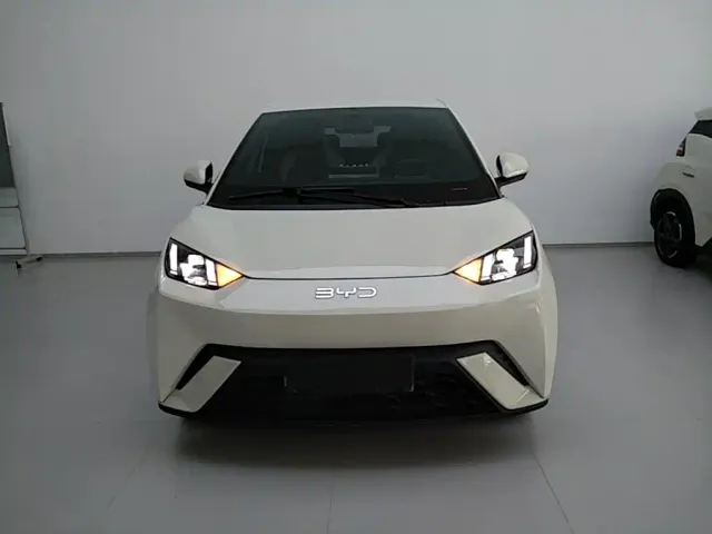 BYD Seagull — Фото автомобиля 2