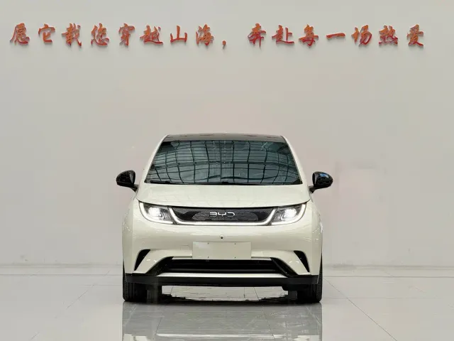 BYD Dolphin — Фото автомобиля 2
