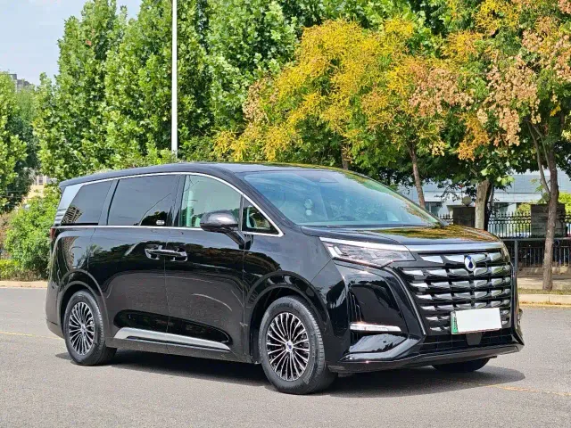 Denza D9 — Фото автомобиля 3