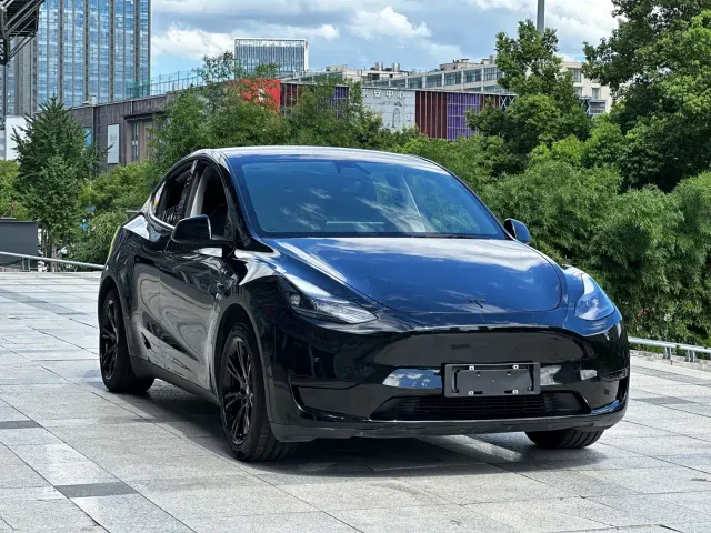 Tesla Model Y — Фото автомобиля 3