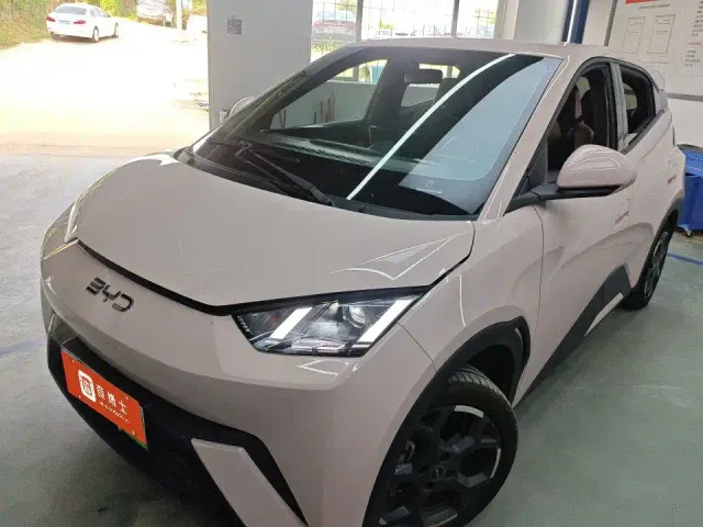 Фотография автомобиля — BYD Seagull