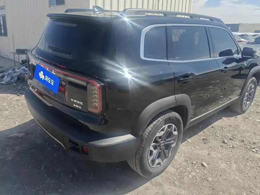 Haval Haval Big Dog 2024 2.0T DCT Chinese Rural Dog Edition — Фото автомобиля 3