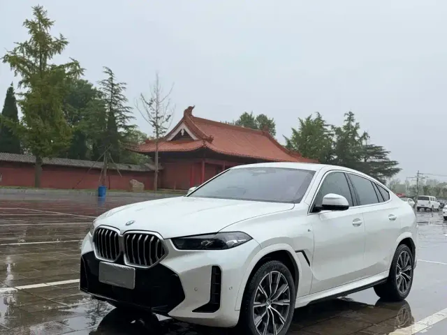 BMW X6 — Фото автомобиля 4