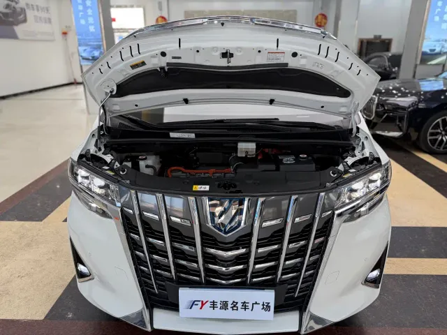 Toyota Alphard — Фото автомобиля 25
