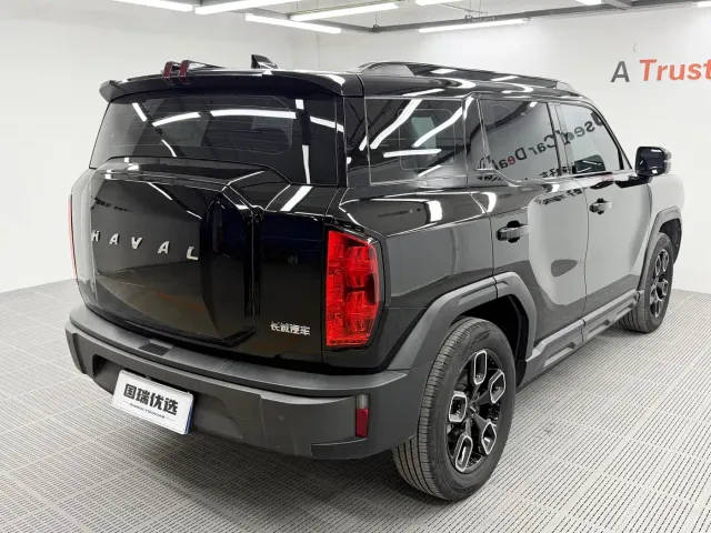 Haval Cool Dog — Фото автомобиля 5