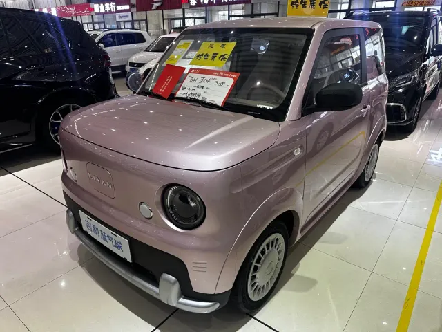 Фотография автомобиля — Geely Panda