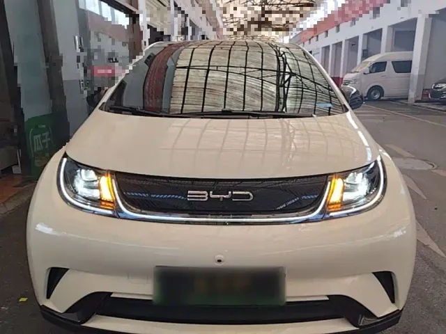 BYD Dolphin — Фото автомобиля 2