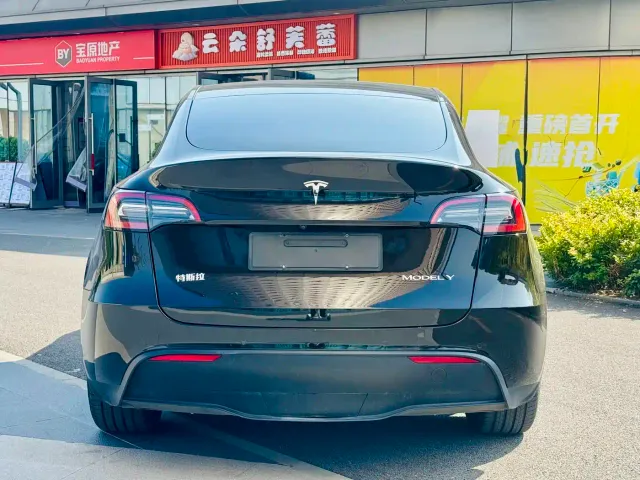 Tesla Model Y — Фото автомобиля 5