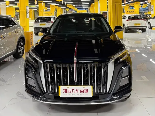 Hongqi Hongqi HS3 2023 1.5T 2WD Virtue Edition — Фото автомобиля 2
