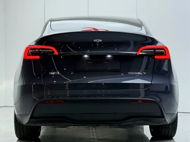 Tesla Model Y — Фото автомобиля 15