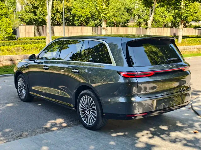 Wey V9X — Фото автомобиля 15
