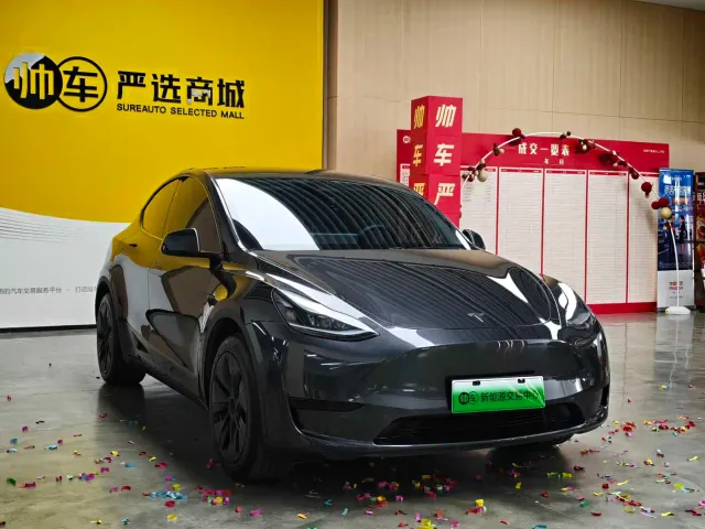 Tesla Model Y — Фото автомобиля 3