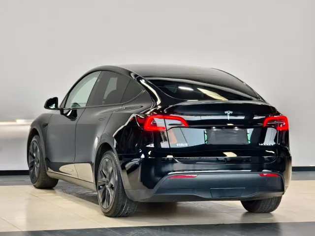 Tesla Model Y — Фото автомобиля 6