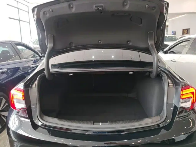 Buick Regal — Фото автомобиля 18