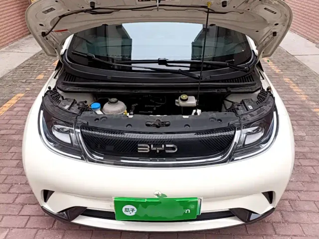 BYD Dolphin — Фото автомобиля 19