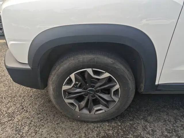 Haval Big Dog — Фото автомобиля 22