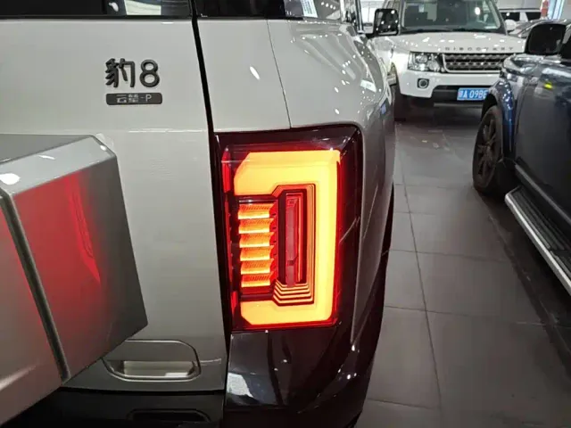 BYD FangChengBao Leopard 8 — Фото автомобиля 7