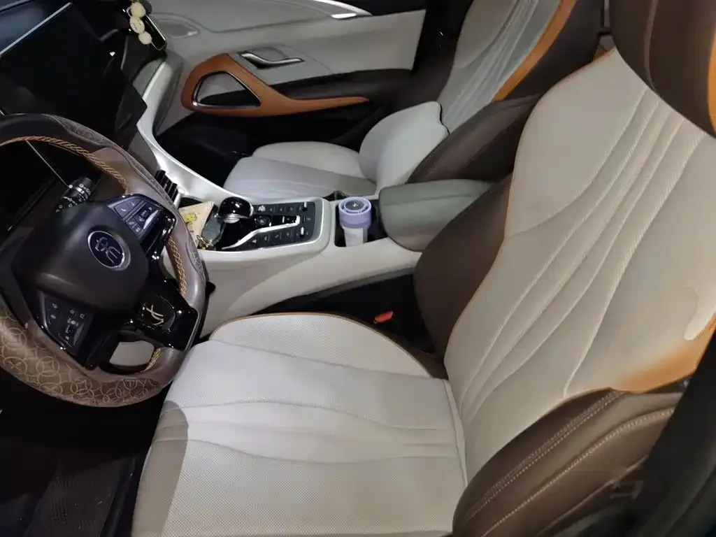 BYD Song Pro New Energy 2022 DM-i 110km Flagship Pro — Фото автомобиля 11
