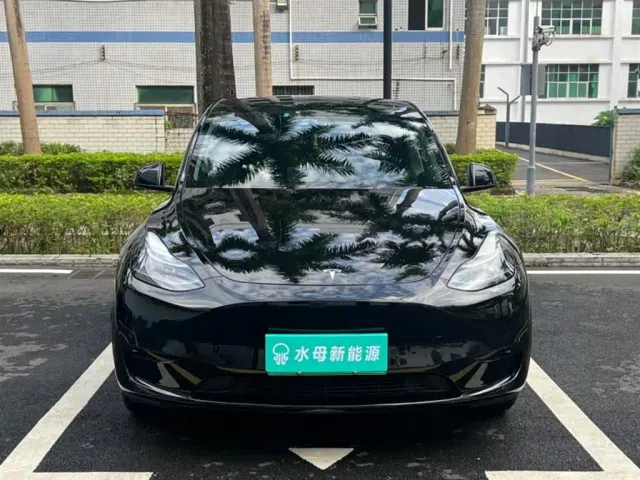 Tesla Model Y — Фото автомобиля 2