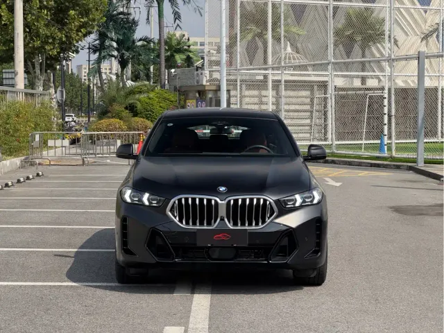 BMW X6 — Фото автомобиля 2