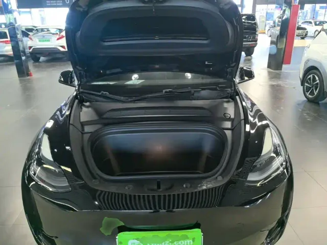 Tesla Model Y — Фото автомобиля 19