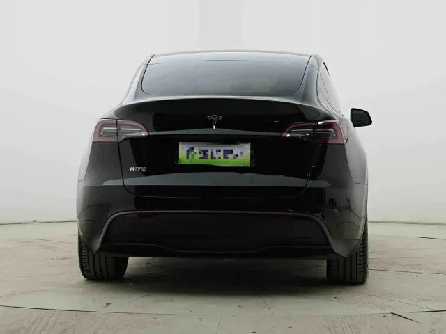 Tesla Model Y — Фото автомобиля 7