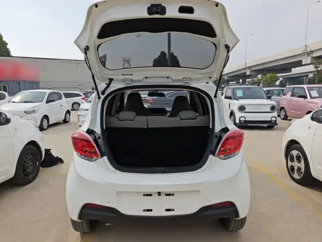 Changan Benben E-Star — Фото автомобиля 18