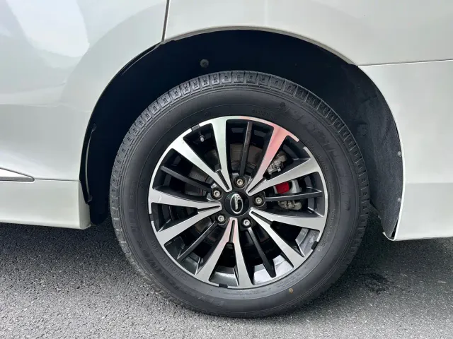 GAC Trumpchi M8 — Фото автомобиля 10
