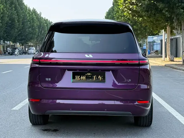 Li Auto L9 — Фото автомобиля 19